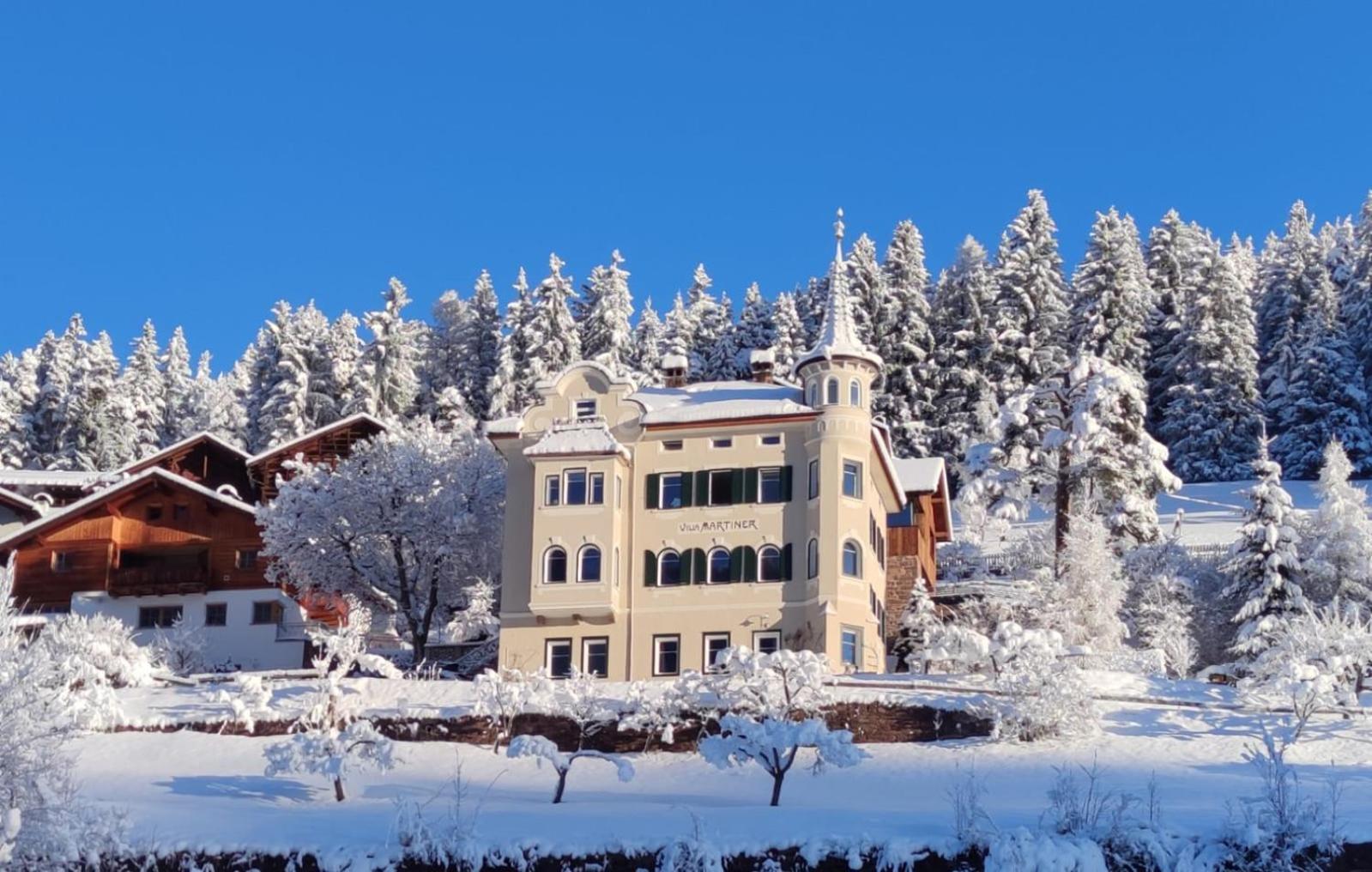 Villa Martiner Apartments Francesco Ортизей Екстериор снимка